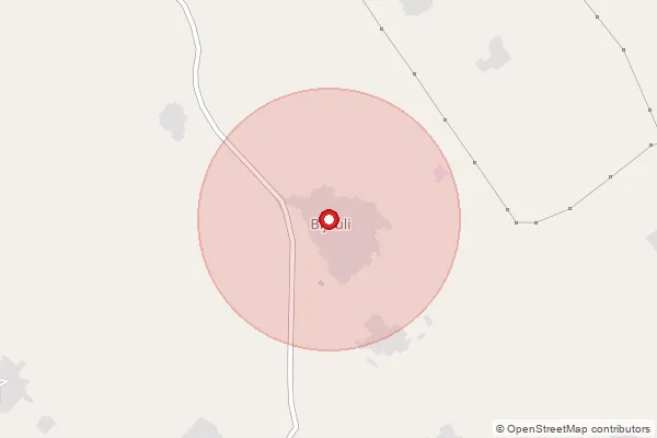 Map showing approximate area covered by Pincode 202131 — Badesara Bo, Aligarh