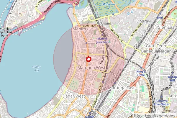 Map showing approximate area covered by Pincode 400016 — Mahim H.O, Mumbai
