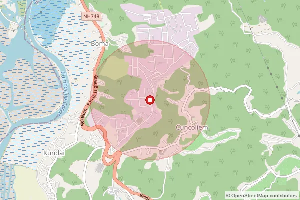 Map showing approximate area covered by Pincode 403115 — Cundaim I.E. S.O, South Goa