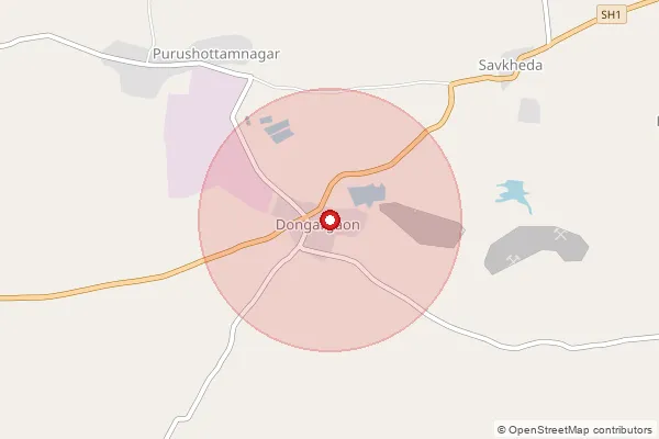 Map showing approximate area covered by Pincode 425424 — Gogapur B.O, Nandurbar