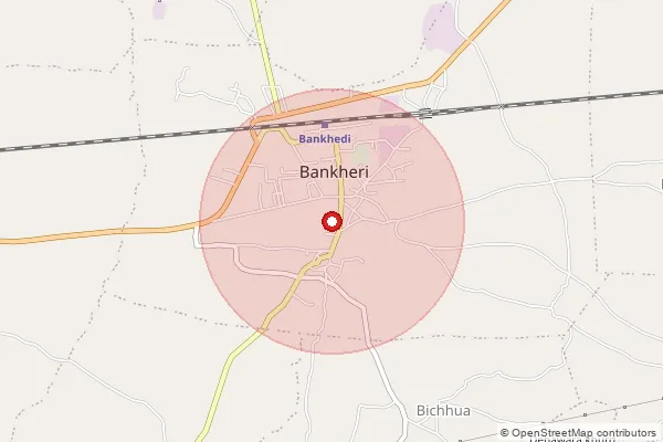 Map showing approximate area covered by Pincode 461990 — Bankhedi S.O, Hoshangabad