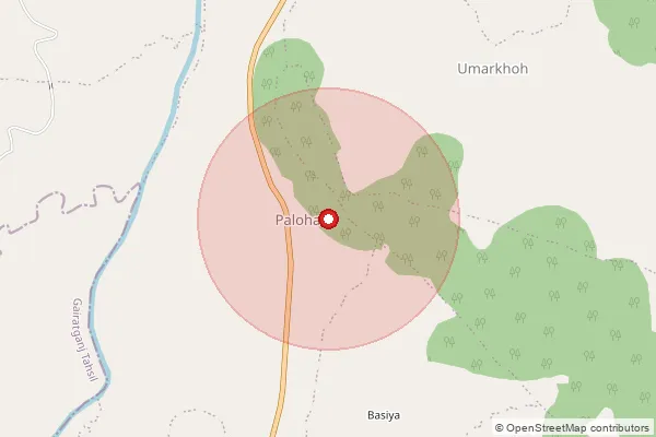 Map showing approximate area covered by Pincode 462046 — Satalapur B.O, Raisen