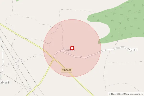 Map showing approximate area covered by Pincode 464993 — Salkani B.O, Raisen