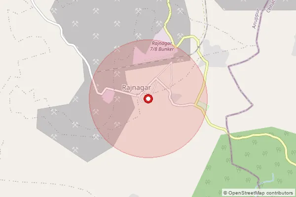 Map showing approximate area covered by Pincode 484446 — Bangawan B.O, Anuppur