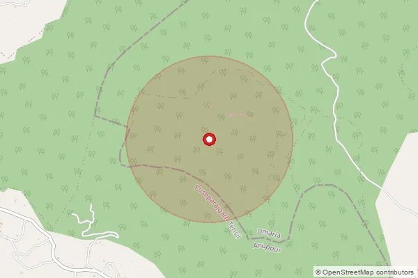 Map showing approximate area covered by Pincode 484551 — Mangthar B.O, Umaria