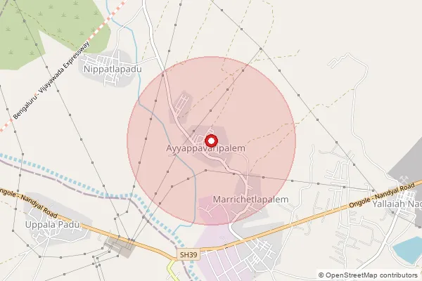 Map showing approximate area covered by Pincode 523253 — Nippatlapadu B.O, Prakasam