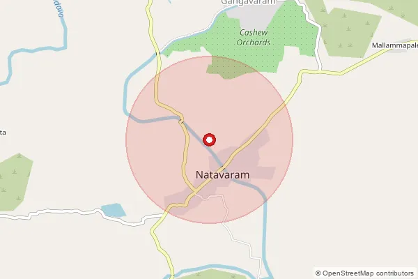 Map showing approximate area covered by Pincode 531116 — Narsipatnam H.O, Anakapalli