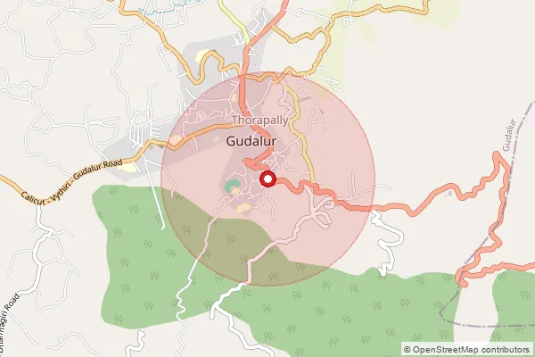 Map showing approximate area covered by Pincode 625518 — Gudalur S.O, Theni