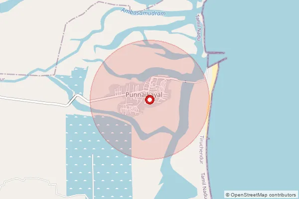 Map showing approximate area covered by Pincode 628155 — Punnakayal So, Tuticorin