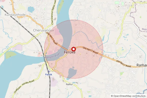 Map showing approximate area covered by Pincode 673631 — Perumukham Bo, Kozhikode