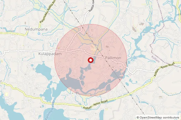 Map showing approximate area covered by Pincode 691576 — Nedumpana Bo, Kollam