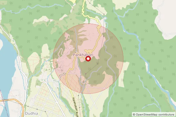 Map showing approximate area covered by Pincode 734217 — Pankhabari So, Darjeeling
