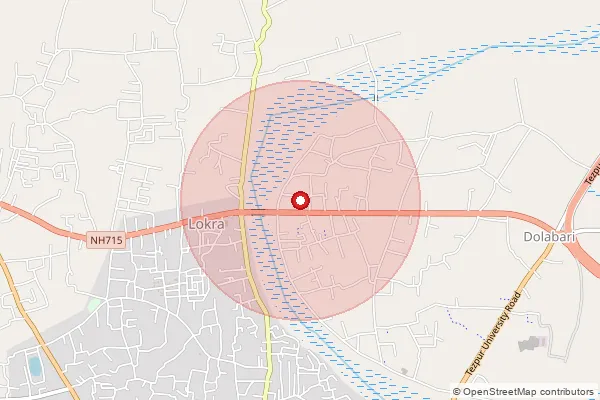 Map showing approximate area covered by Pincode 784170 — Amlakhi Dalani B.O, Biswanath
