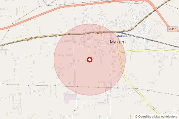 Map showing approximate area covered by Pincode 786170 — Borgaon B.O, Tinsukia