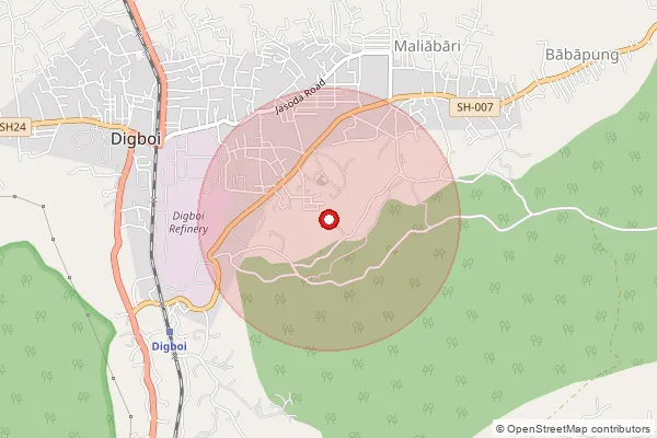 Map showing approximate area covered by Pincode 786171 — Balijan B.O, Tinsukia