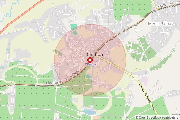 Map showing approximate area covered by Pincode 786184 — Hatiali Siding B.O, Dibrugarh