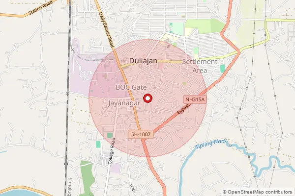 Map showing approximate area covered by Pincode 786602 — Jaloni Dibruduar B.O, Dibrugarh