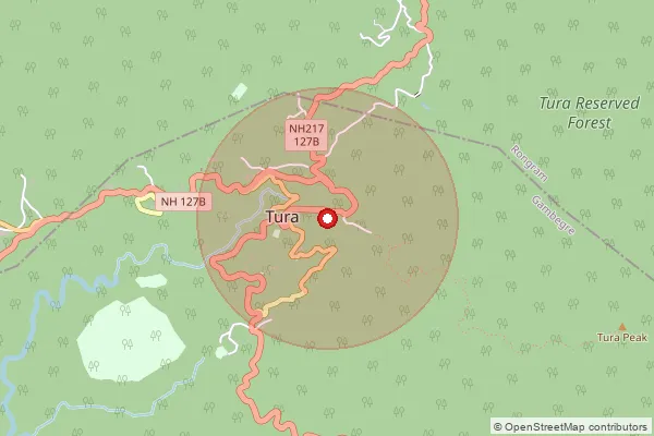 Map showing approximate area covered by Pincode 794107 — Riangshi A, South Garo Hills